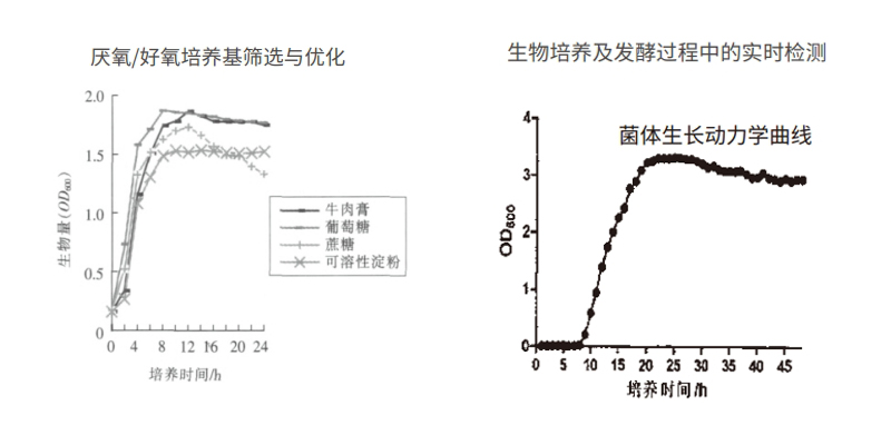 過程安全，結果精準