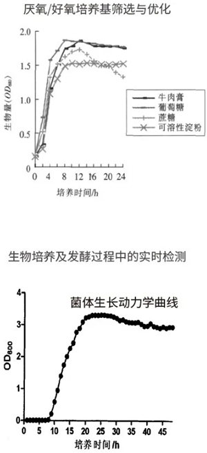 過程安全，結(jié)果精準(zhǔn)